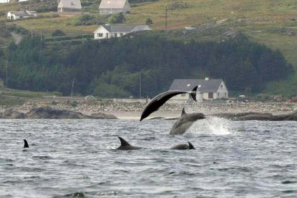 Atlantic View Apartment Dungloe Bagian luar foto